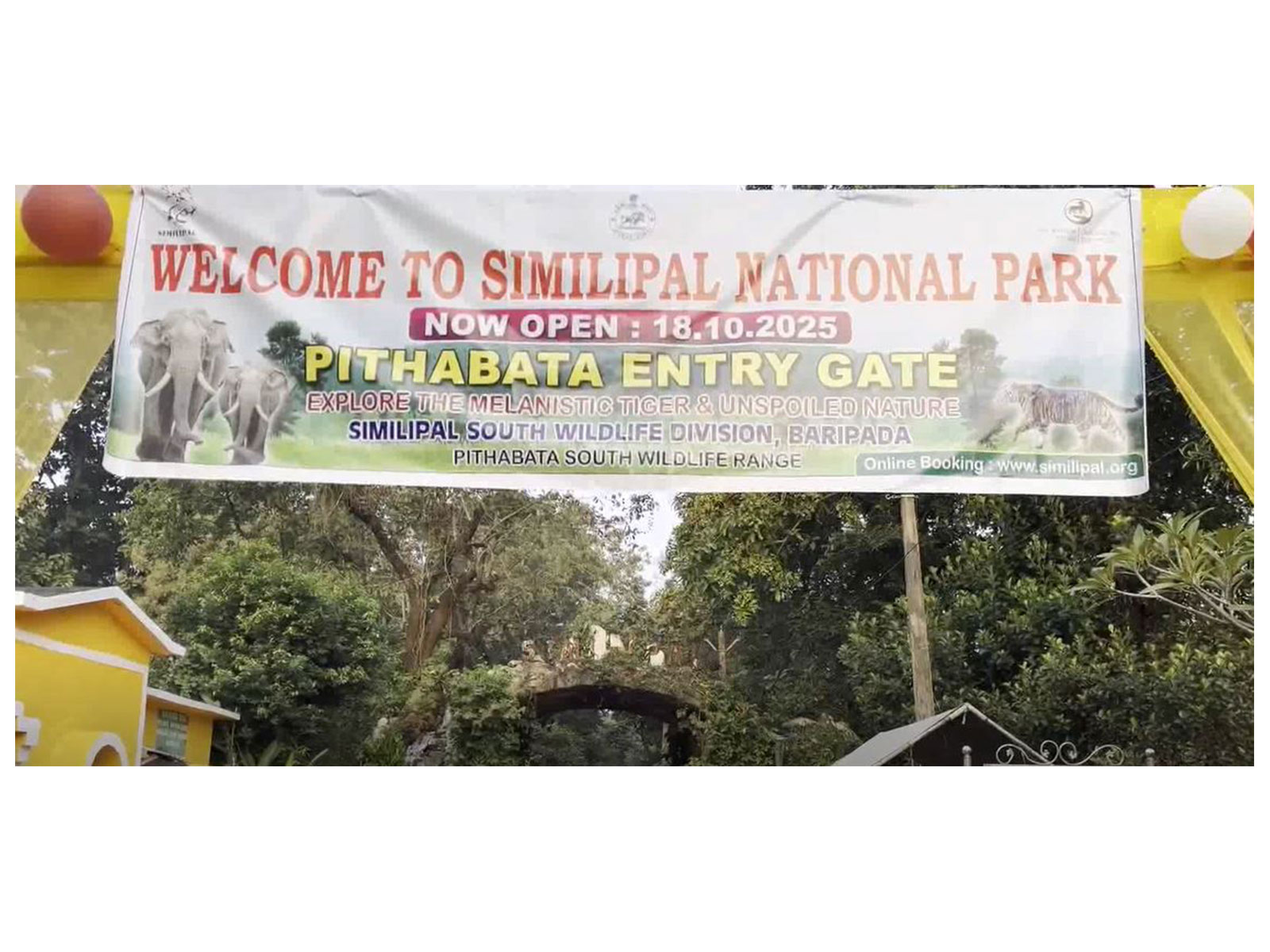 Visuals from Similipal National Park in Odisha. (Photo/ANI) Visuals from Similipal National Park in Odisha. (Photo/ANI)