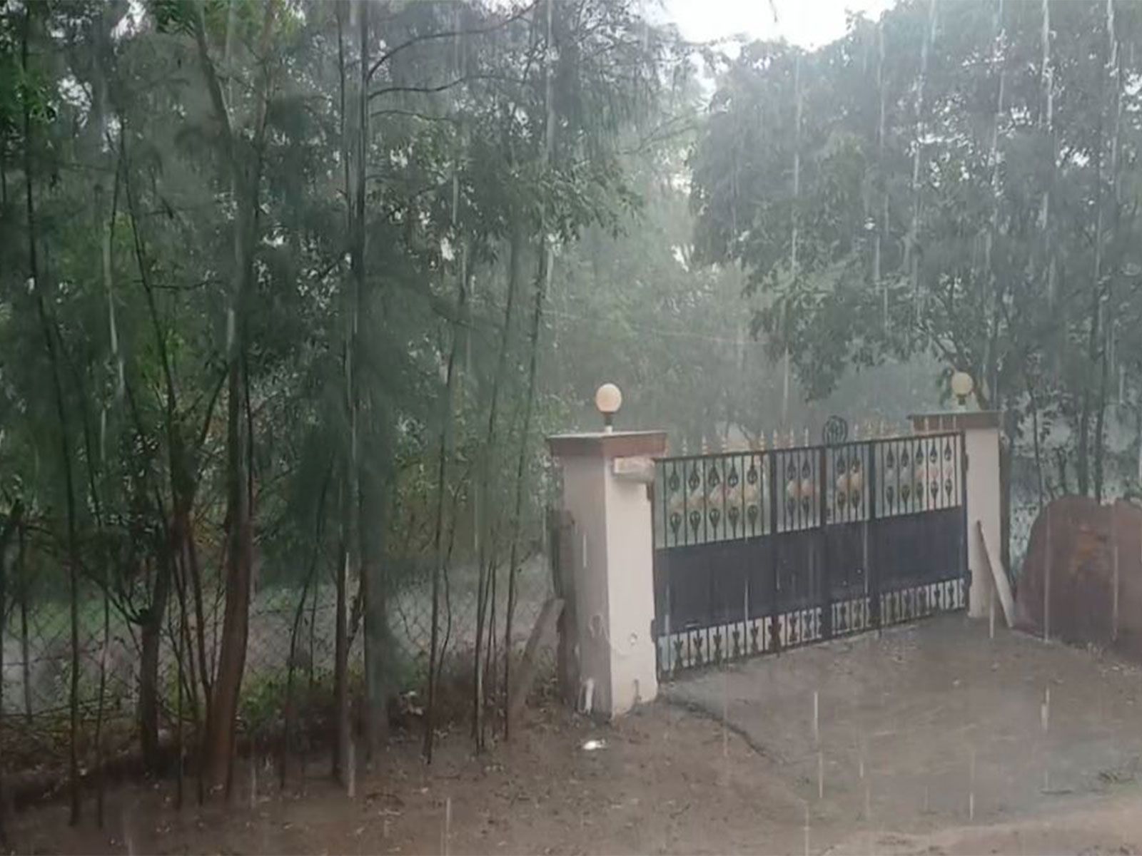 Heavy rain lashes several parts of Tamil Nadu. (Photo/ANI)