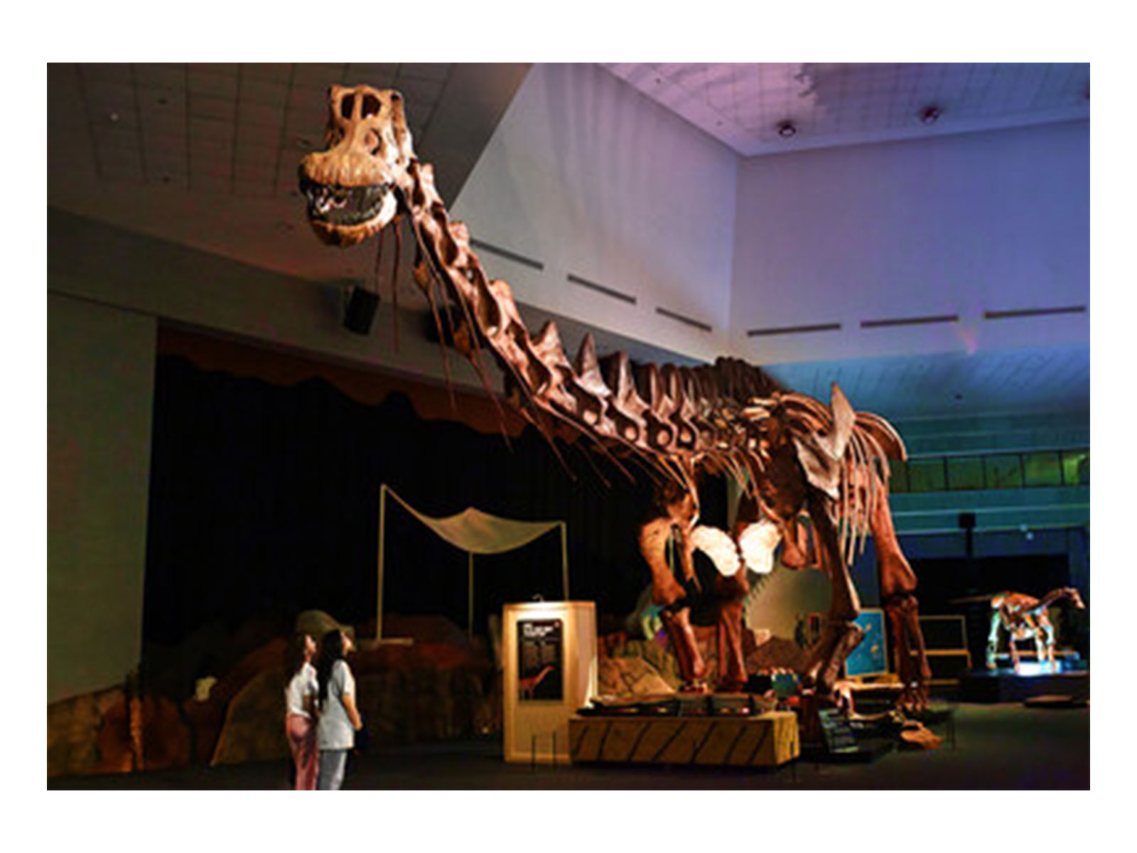 Singapore's Ultimate Prehistoric Adventure Begins at Science Centre Singapore