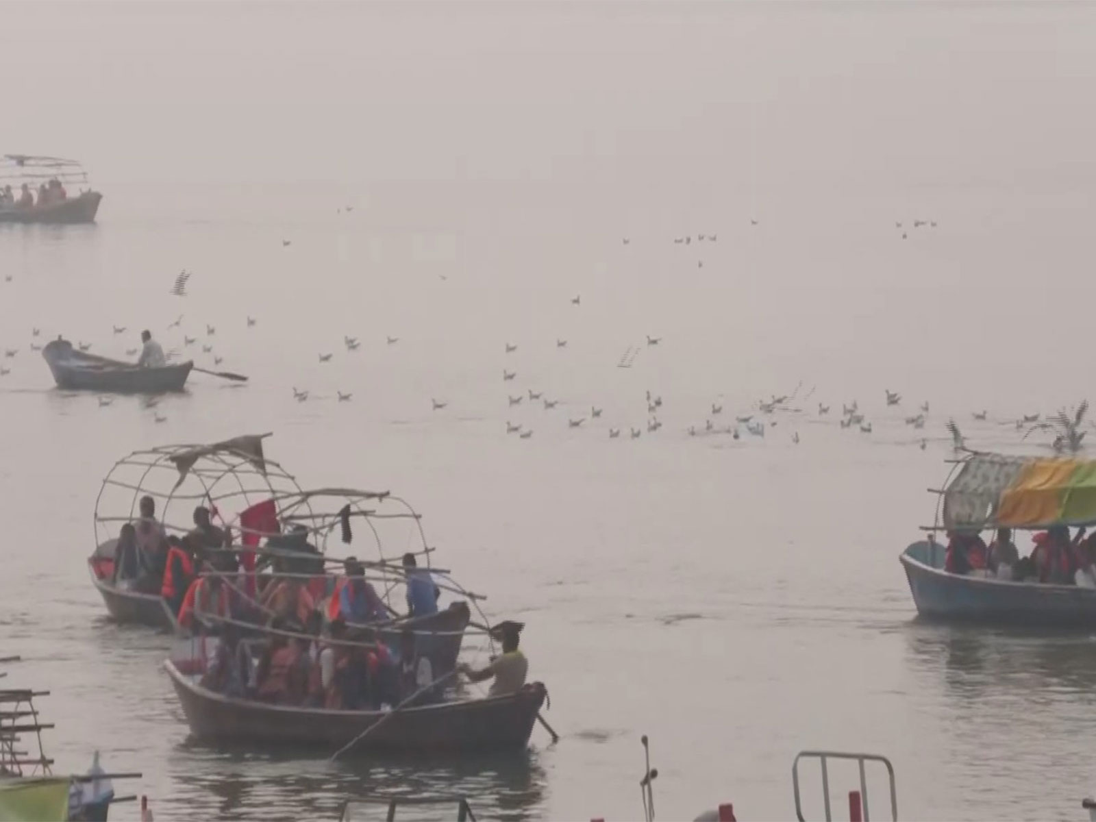 Siberian birds arrive at Prayagraj Sangam (Photo/ANI) Siberian birds arrive at Prayagraj Sangam (Photo/ANI)