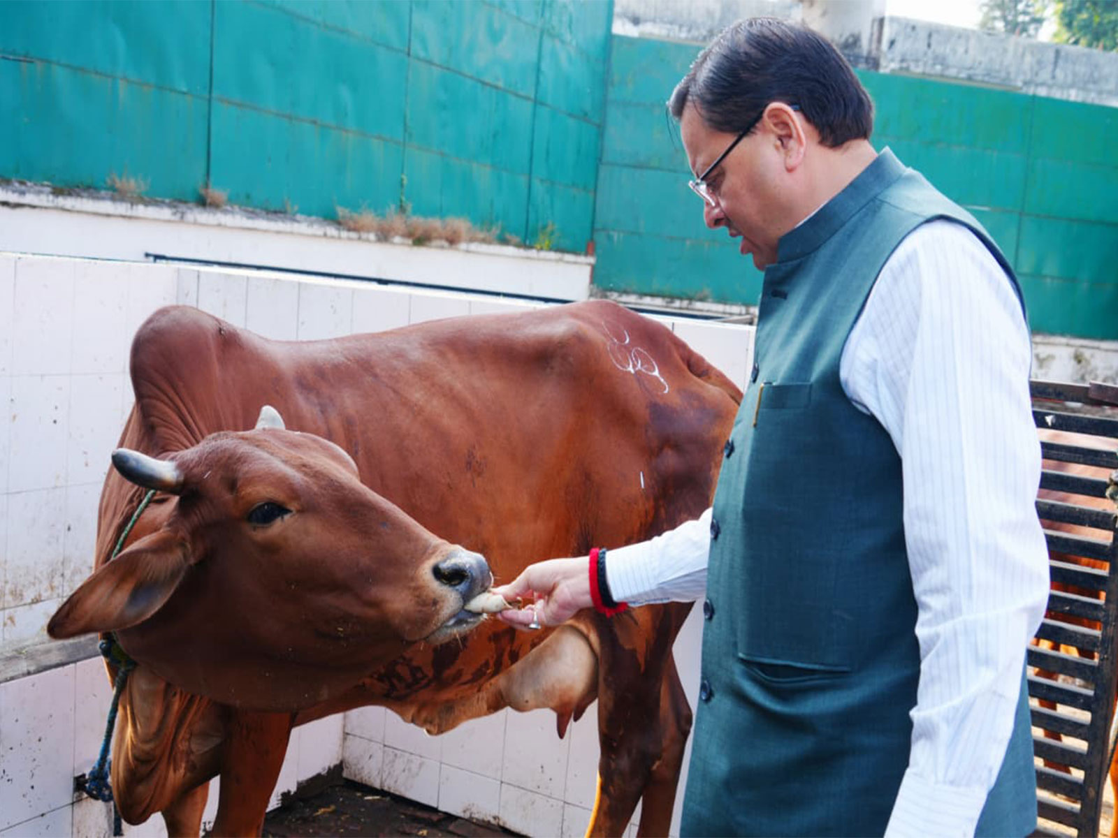 Uttarakhand CM Dhami offers prayers on Govardhan Puja (Photo/ANI)