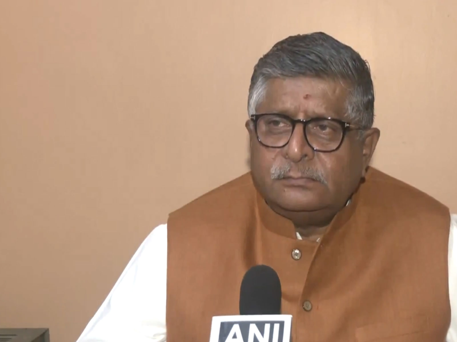 BJP MP Ravi Shankar Prasad (Photo/ANI)