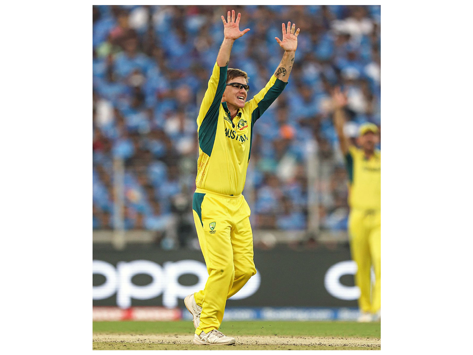 Adam Zampa. (Photo/ANI)