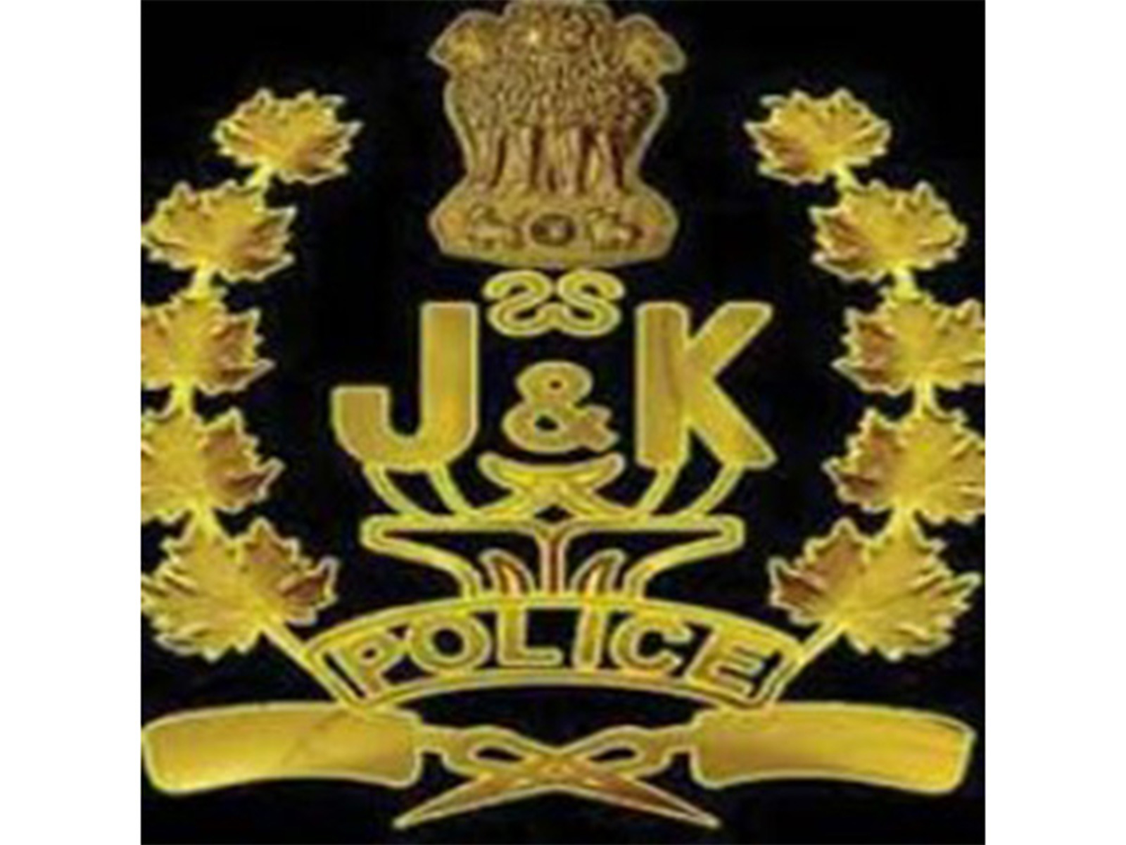 Jammu and Kashmir Police (Photo/X@Dis_Pol_Jammu)