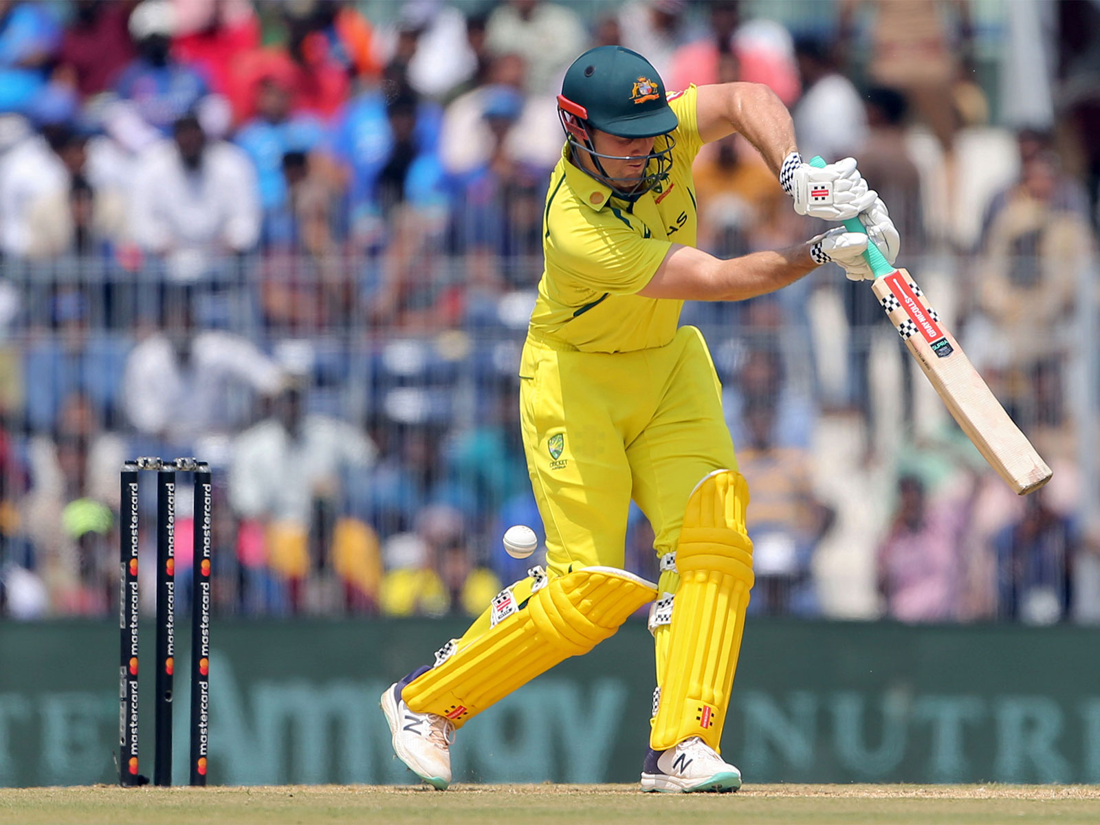 Mitchell Marsh. (Photo: ANI)