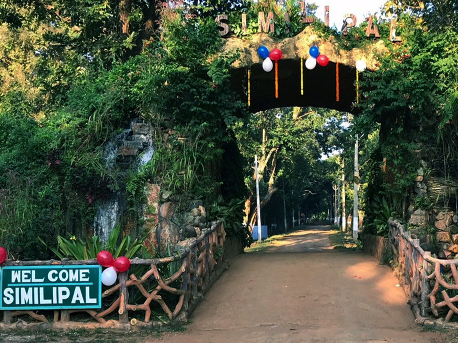 Similipal National Park (File Photo/Similipal Tiger Reserve Website)