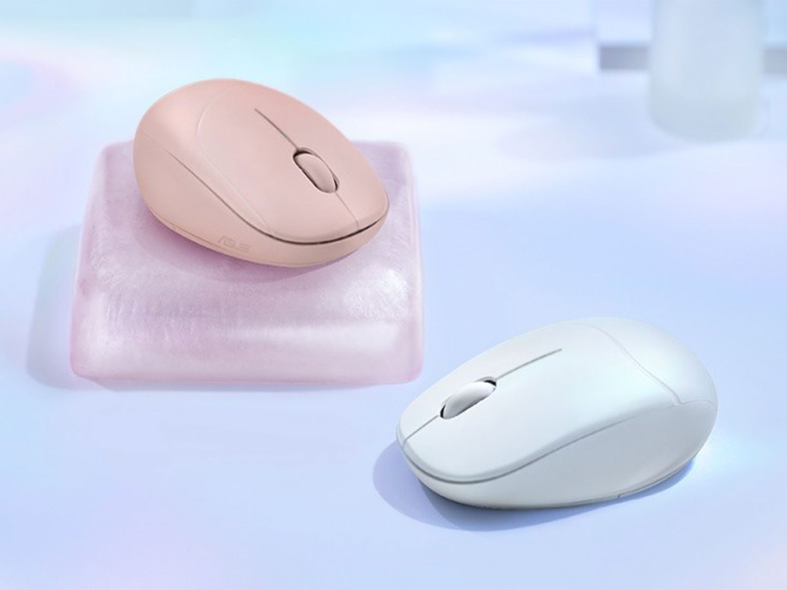 Image Courtesy: Asus