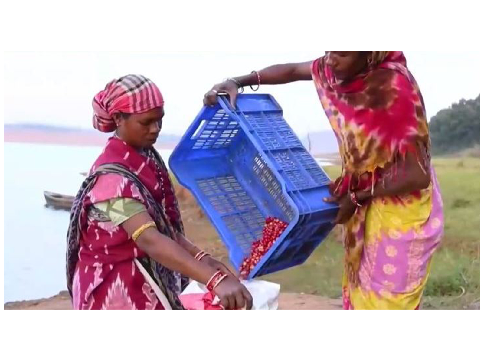 Screengrab from Prime Minister Narendra Modi's 'Mann ki Baat' episode (YouTube/Narendra Modi)