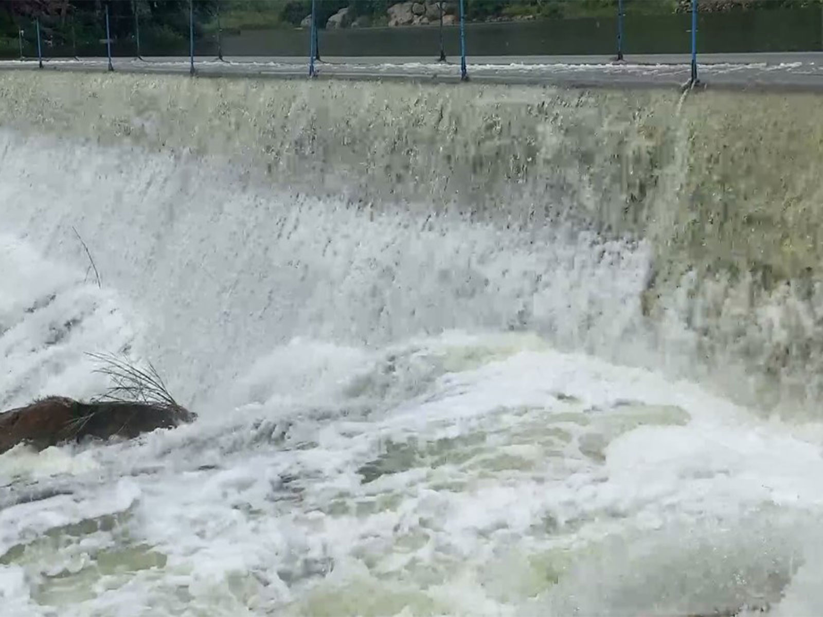 Visual of water flowing from Palar dam in Tamil Nadu (Photo: ANI)