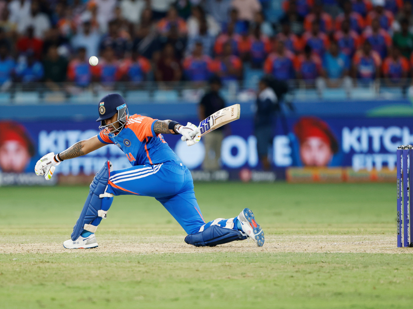 India skipper Suyrakumar Yadav (Photo/ANI) 