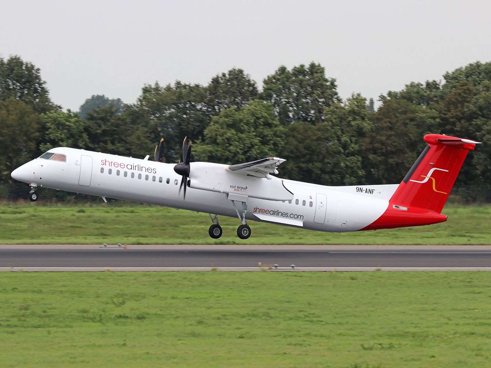 Representational Image (Photo/Shree Airlines Website)