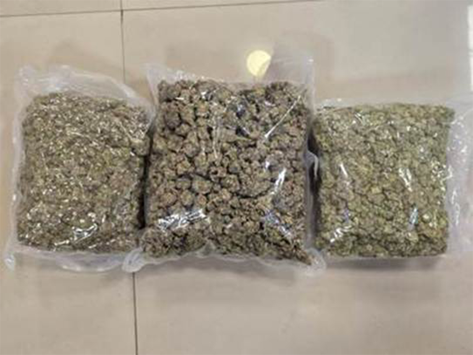 DRI officials seized 42.34 kg of hydroponic weed worth ₹42 crore concealed in food packets at Mumbai Airport (Photo/Ministry of Finance)