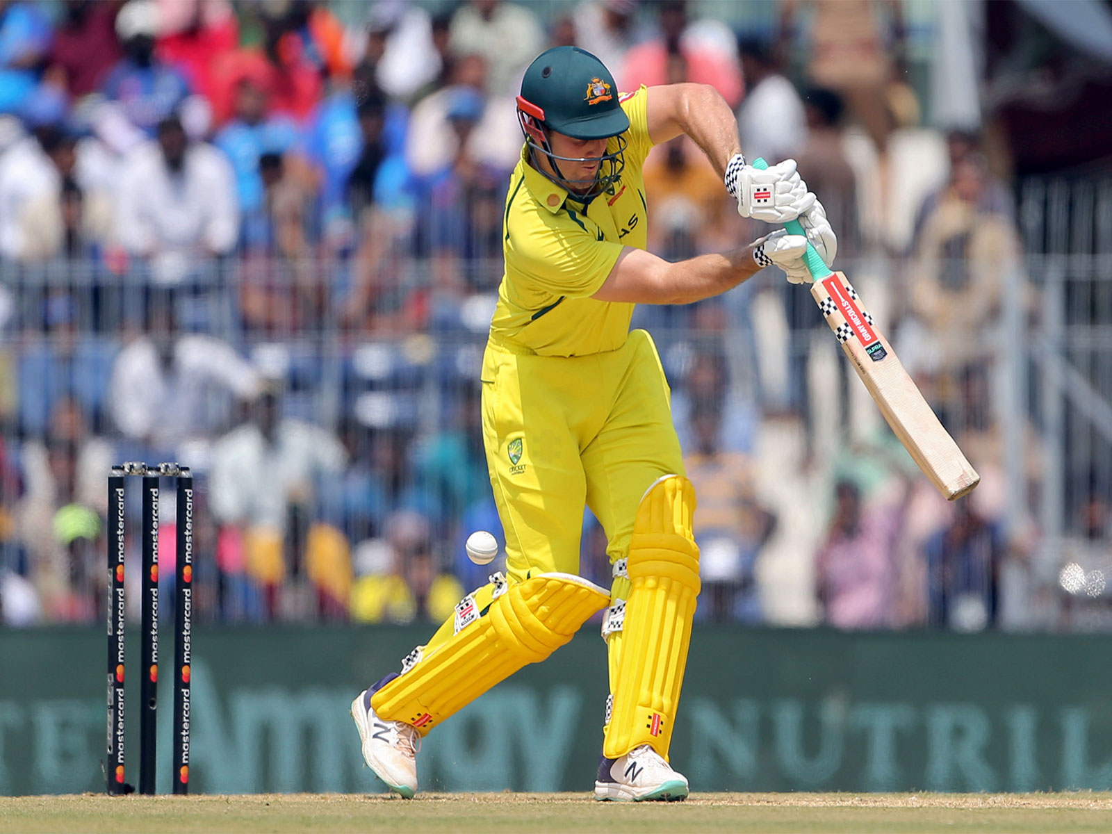 Australia skipper Mitchell Marsh (Photo/ANI)