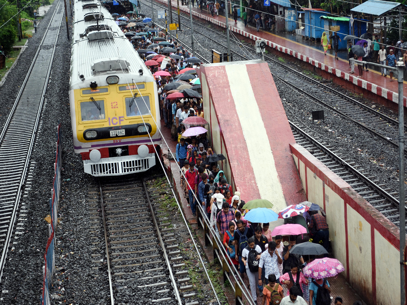 A local tran in Mumbai (Representative Image/ANI)