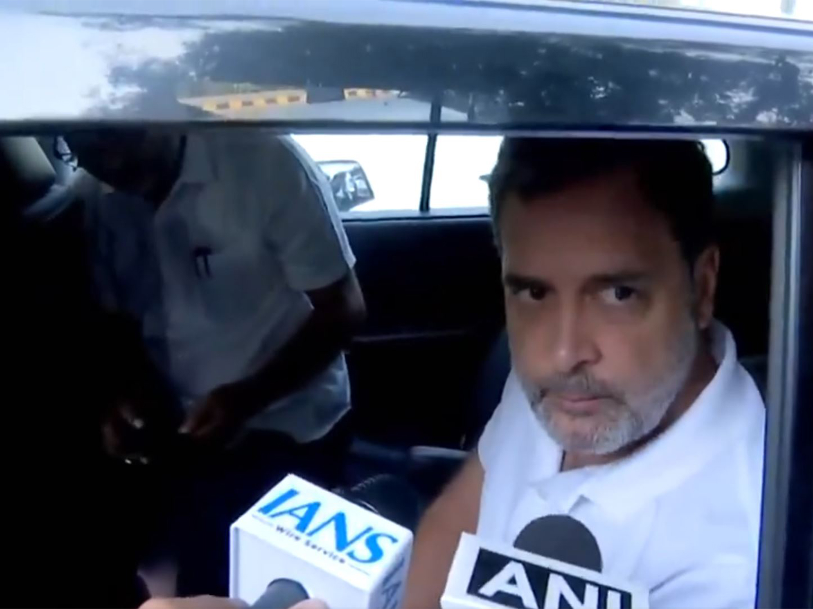 Lok Sabha LoP Rahul Gandhi (Photo/ANI)