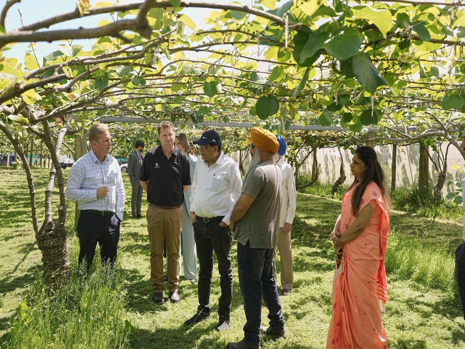 Piyush Goyal visits Te Puke kiwifruit orchad in the Bay of Plenty in New Zealand (Photo:X/@PiyushGoyal)