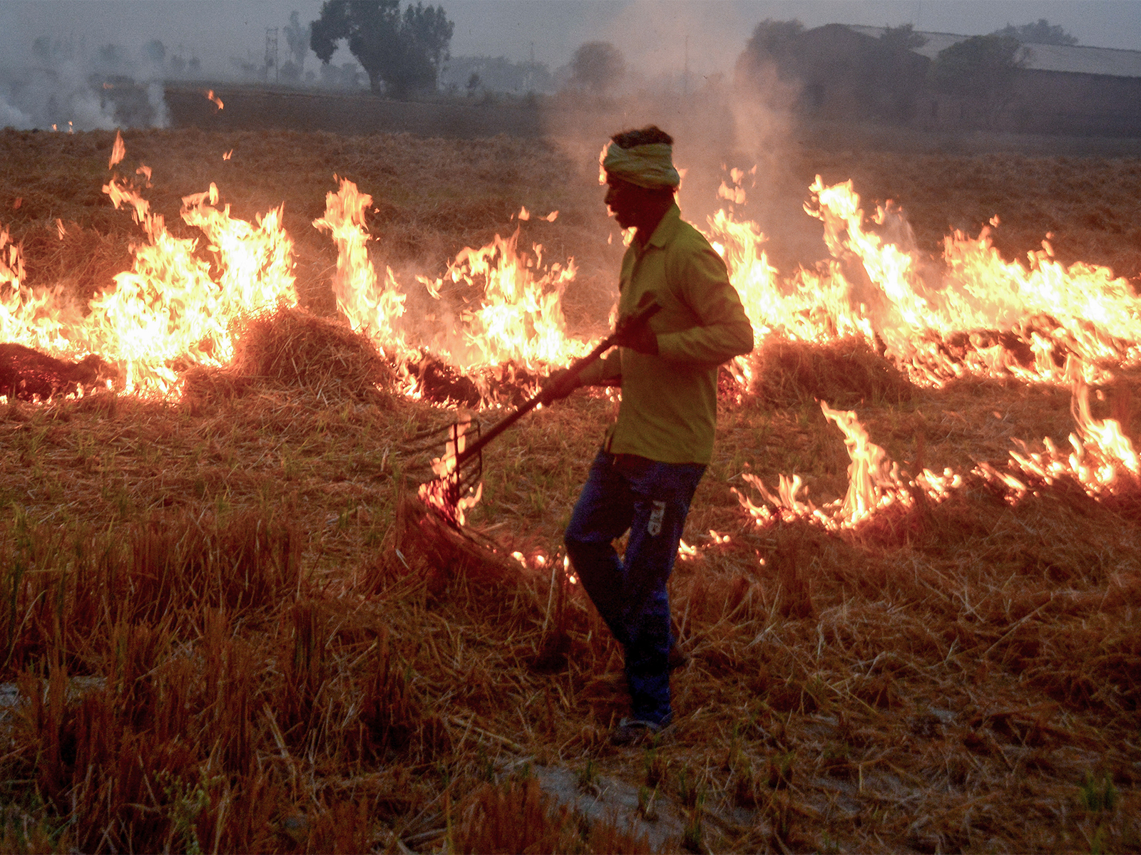 Stubble burning in Patiala on November 3. (Photo/ANI)
