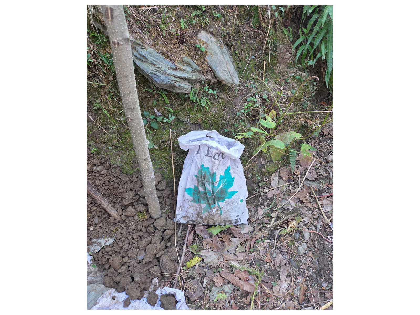 Suspected contraband confiscated during Operation Hajitra (Photo/ANI)