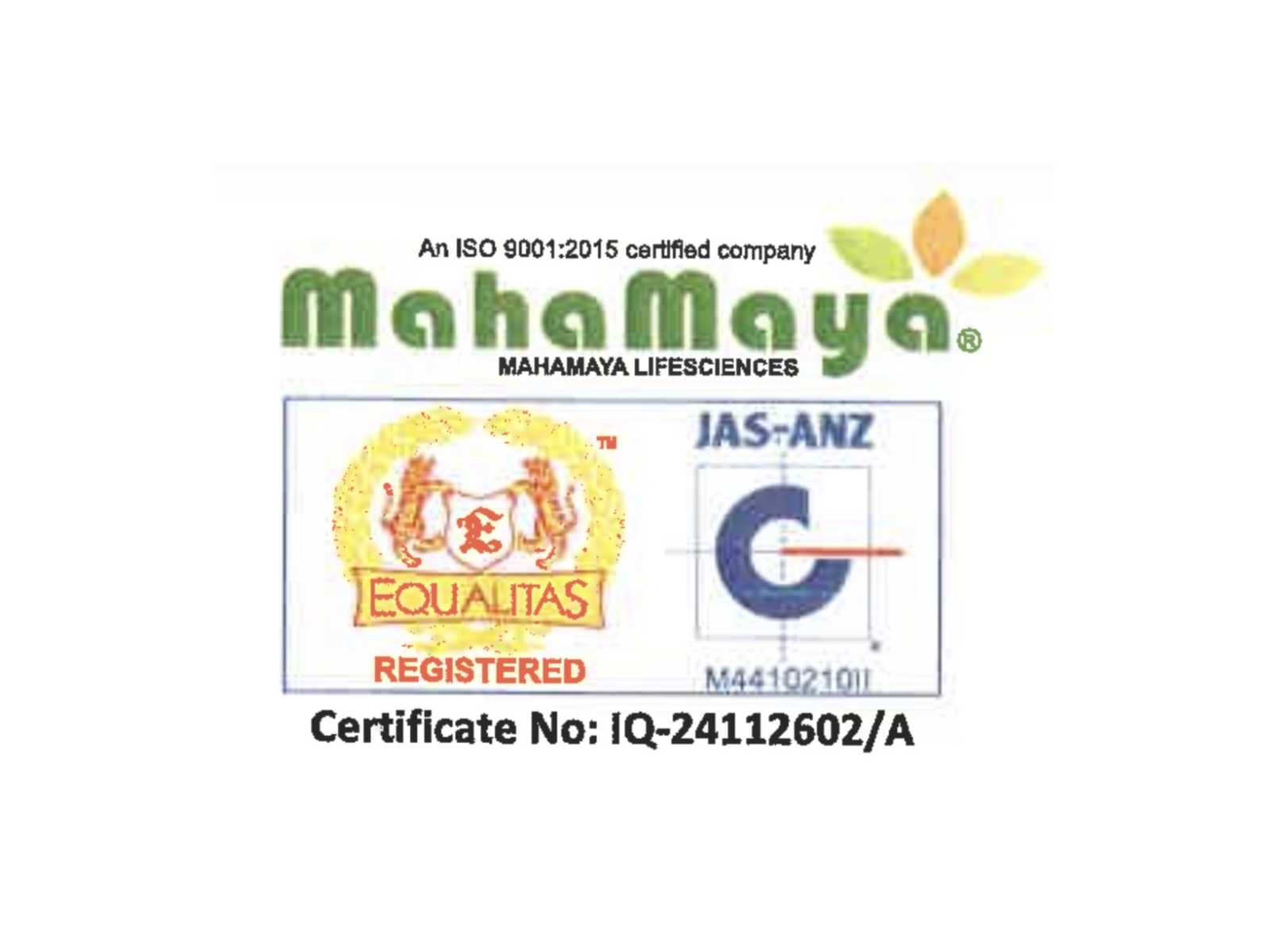 Mahamaya Lifesciences Limited has secured INR 19.98 crore from seven marquee anchor investors at INR 114 per share