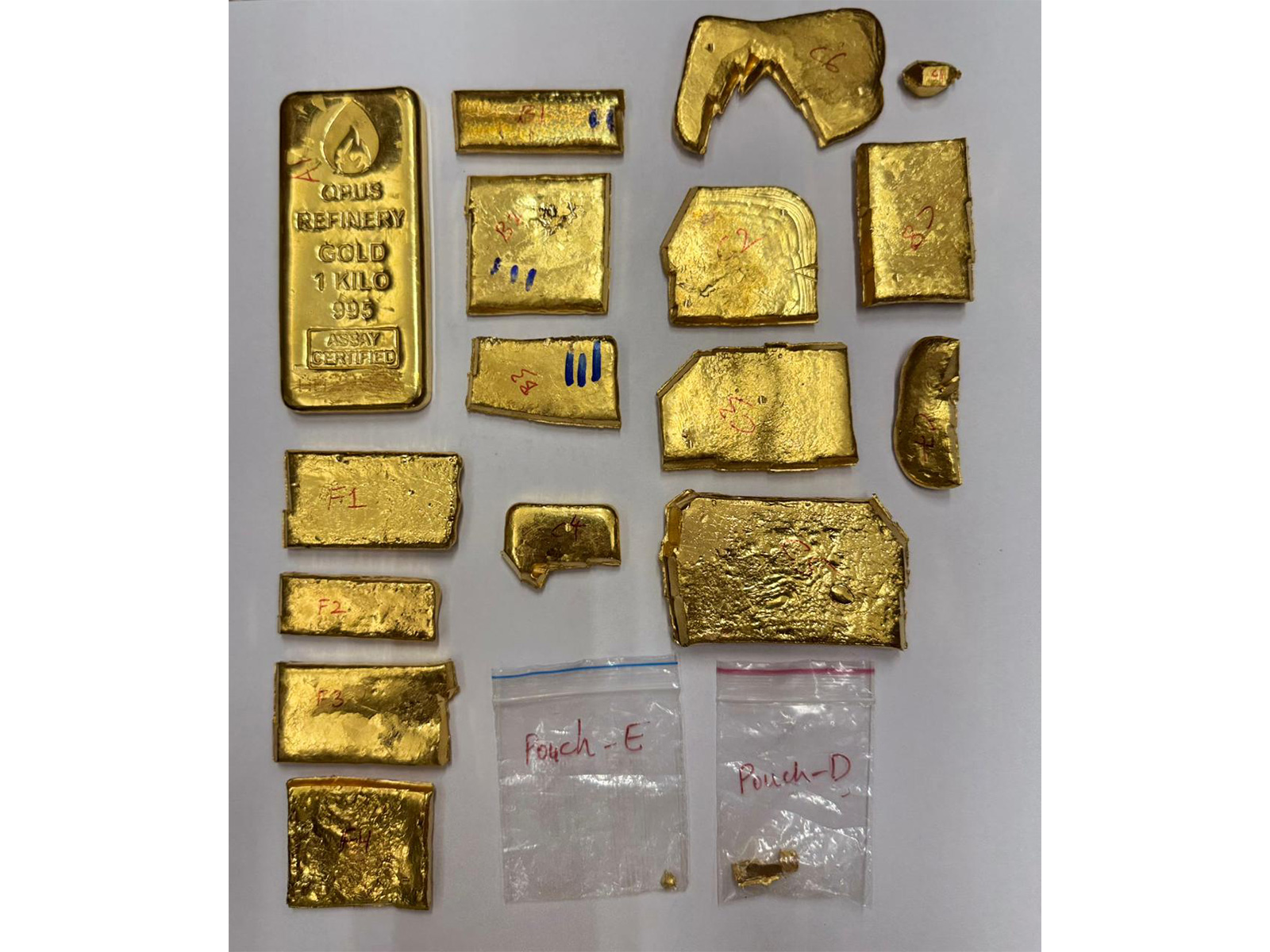 Seized gold (Photo/DRI)