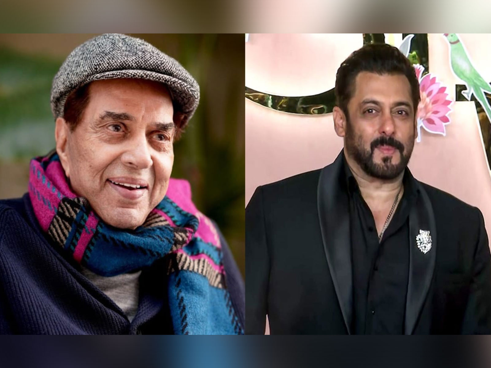 Actor Dharmendra (Photo/instagram/@aapkadharam) Salman Khan (File Photo/ANI)