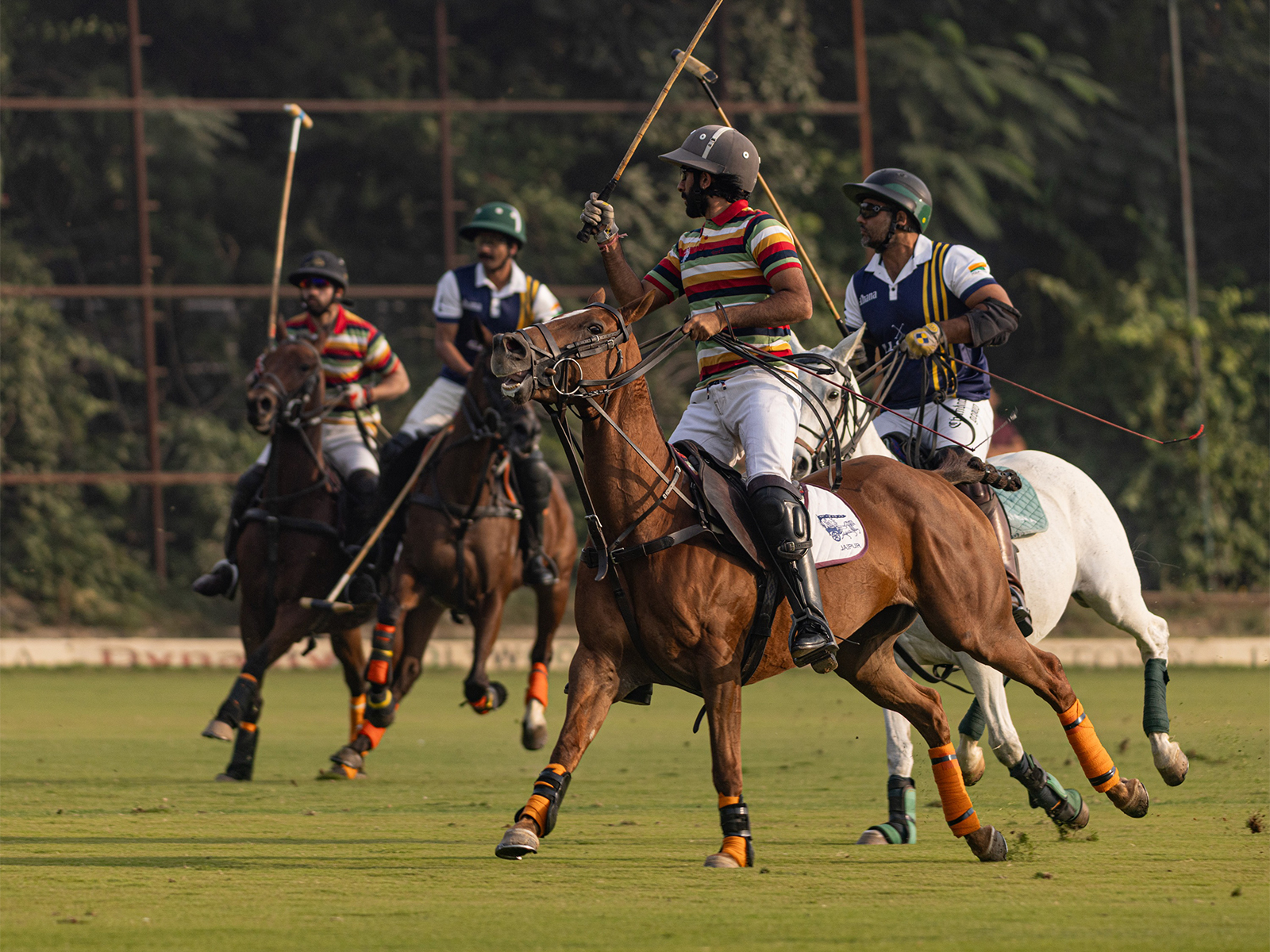 Polo action (Photo: Jaipur Polo team)