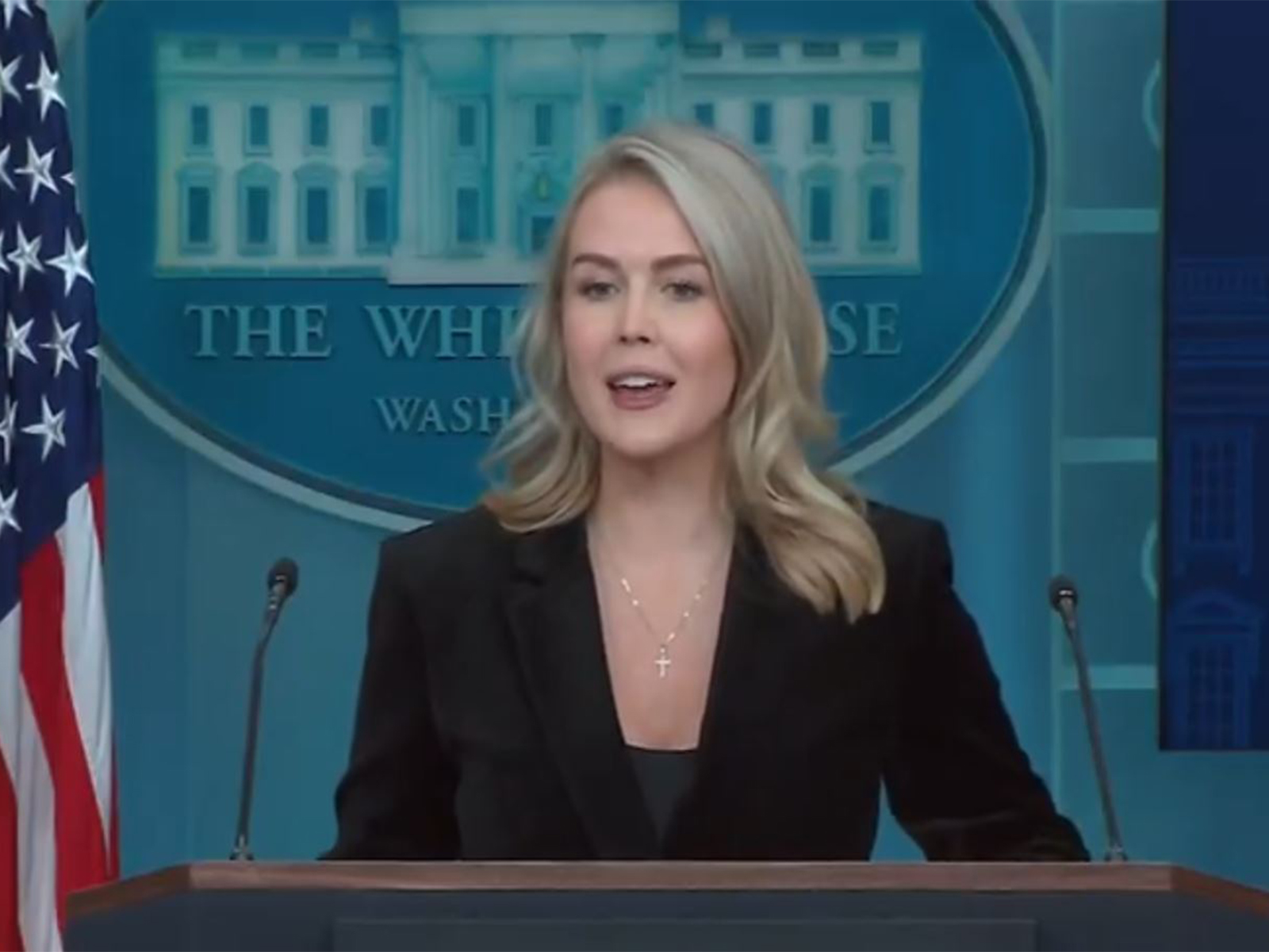 White House Press Secretary Karoline Leavitt (Photo: White House/YouTube)