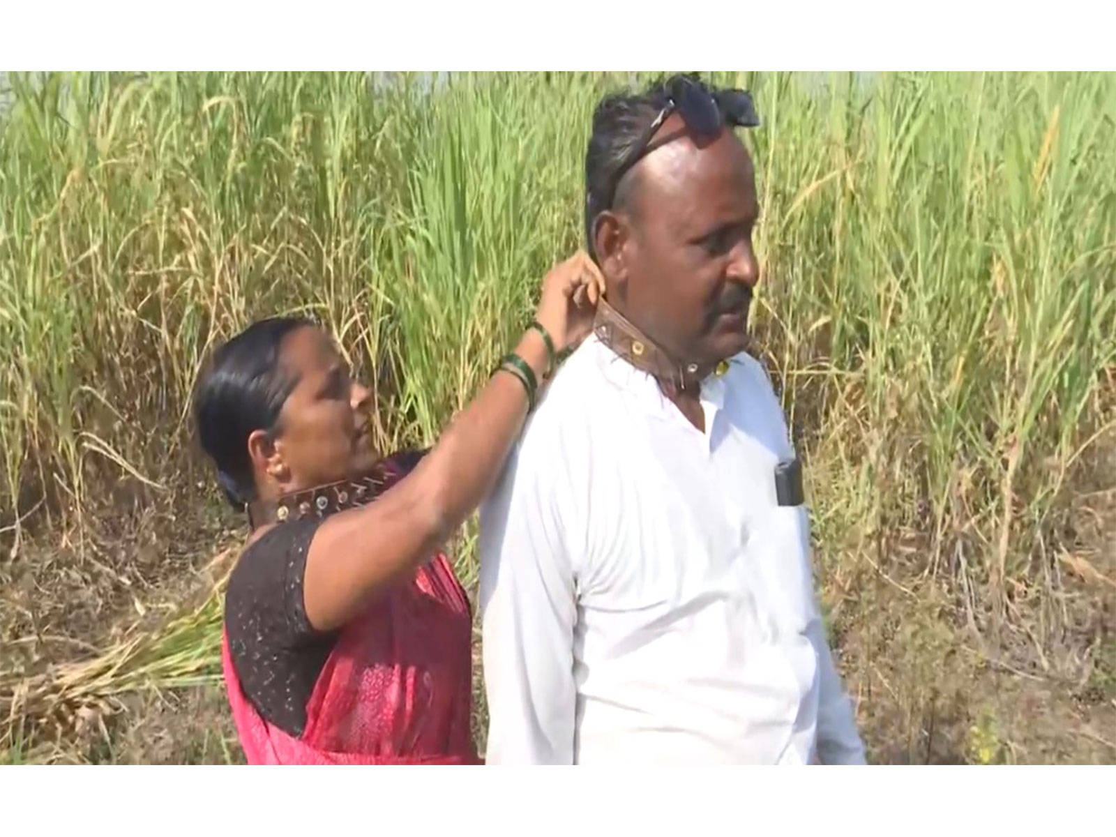 Pimparkhed residents wear spiked collars to protect themselves from leopard attacks (Photo/ANI)