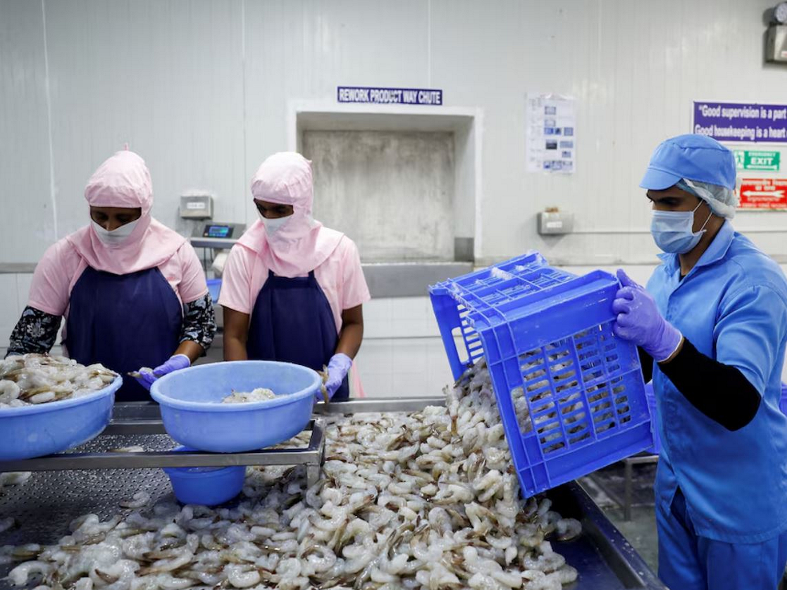 Workers sort shrimps inside a processing unit near Vishakhapatnam (Photo/Reuters)