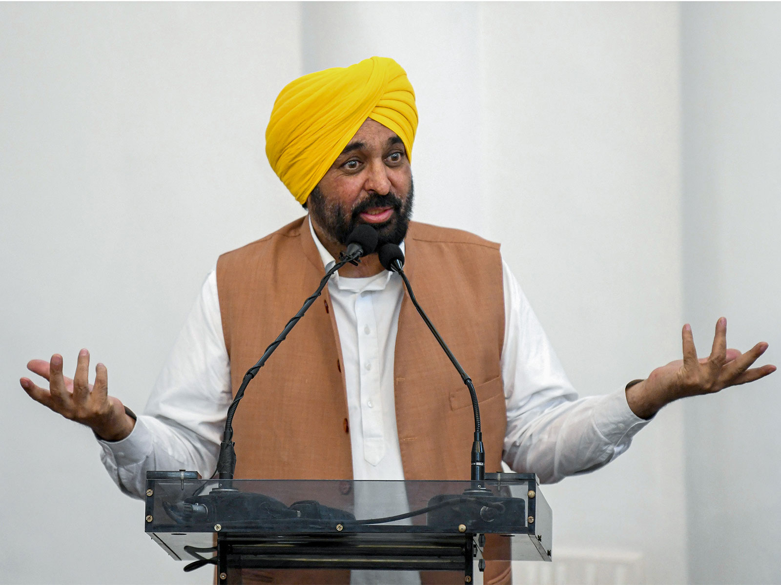 Punjab CM Bhagwant Mann (File Photo/ANI)