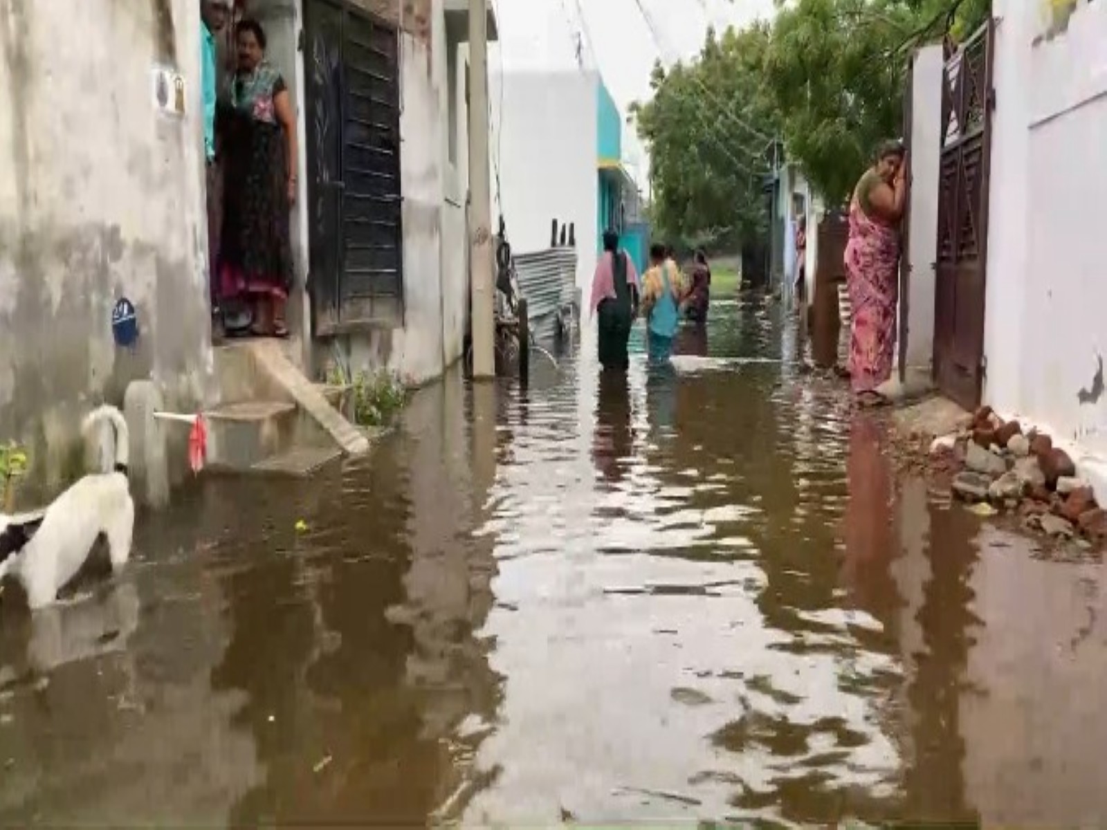 Waterlogged streets in KVK Samy Nagar in Thoothukudi district (Photo/ANI)
