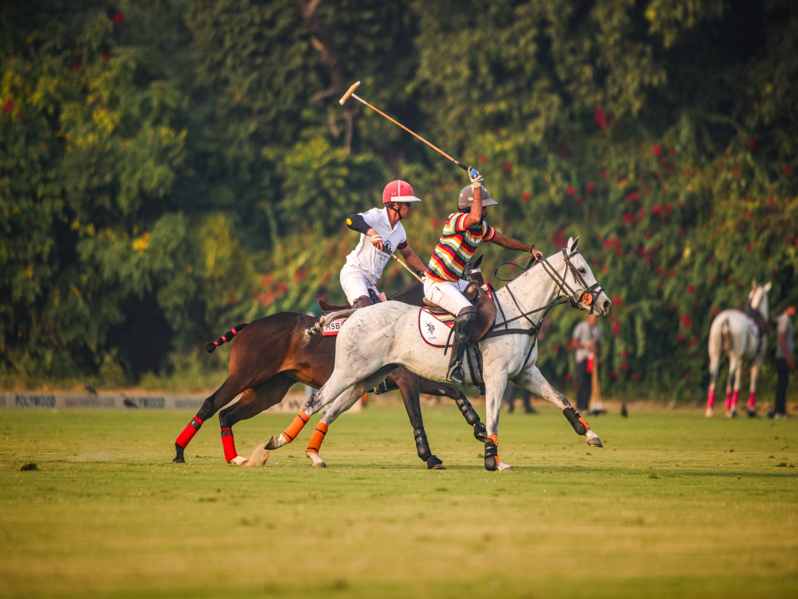 Players in action. (Photo/Jaipur Polo team) 