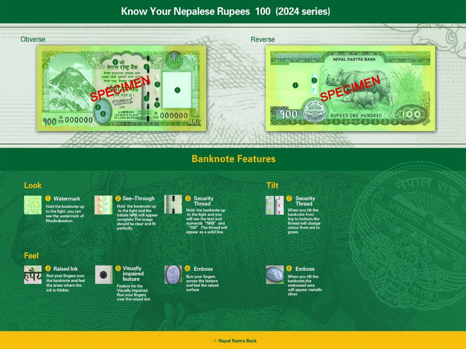 Specimen of the NPR 100 banknote (Photo/NRB) Specimen of the NPR 100 banknote (Photo/NRB)