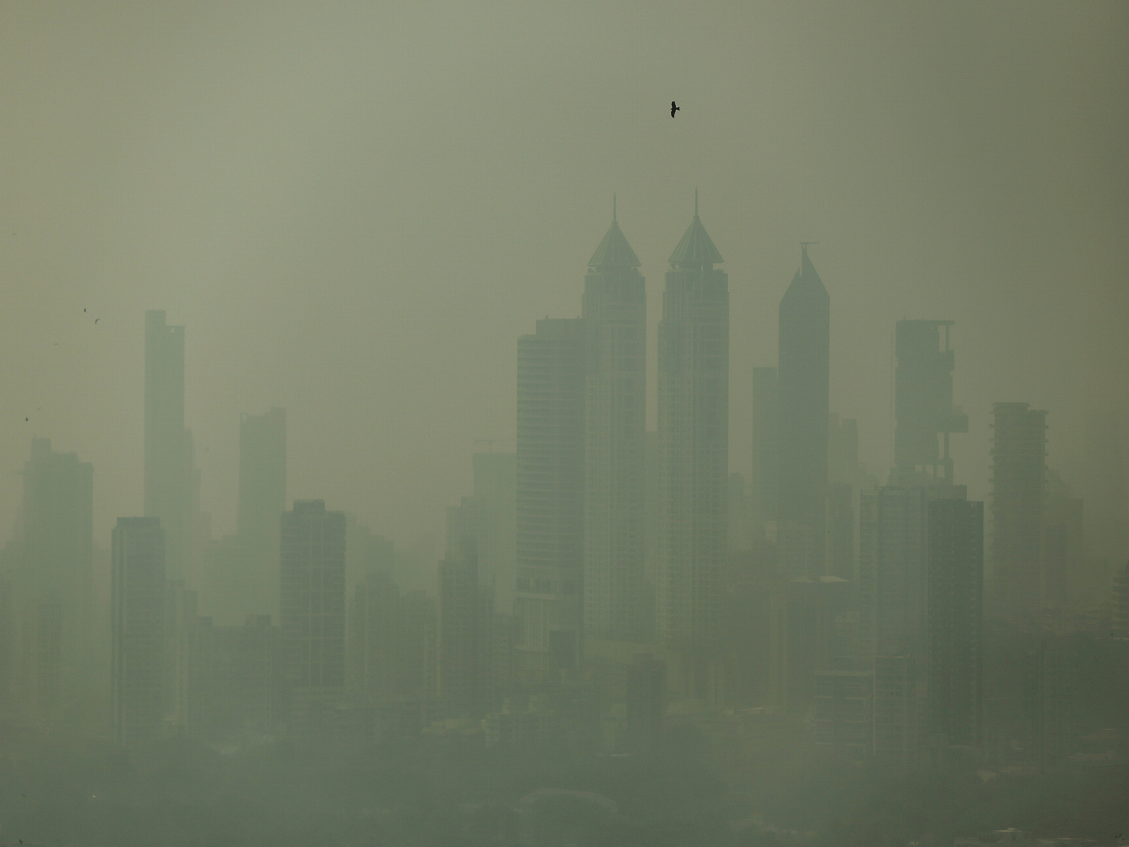 Representative Image (Photo/ Reuters)