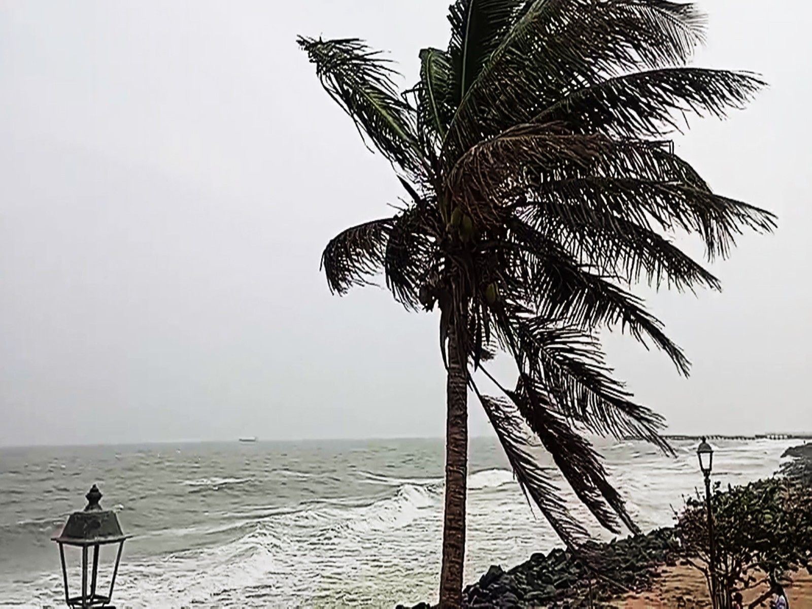 Strong winds and high tides triggered by Cyclone Ditwah (Photo/ANI)