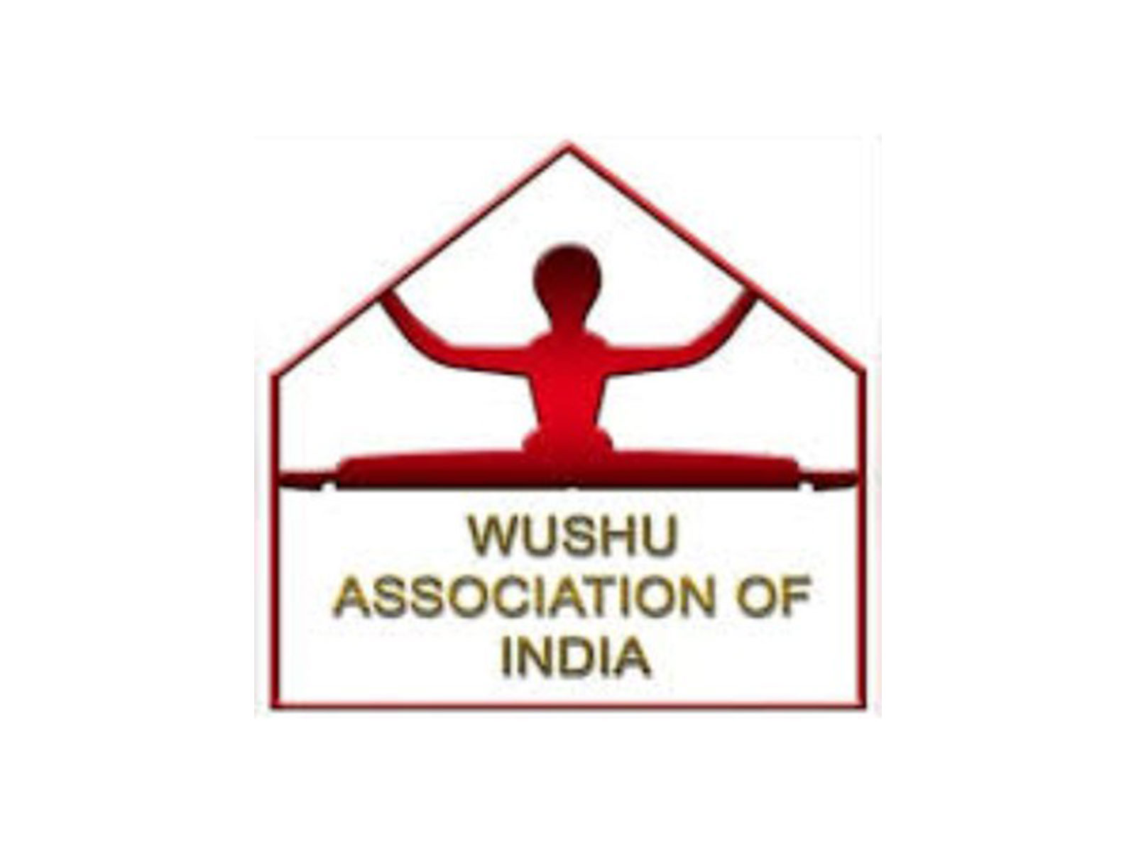 Wushu Association of India logo (Photo: Wushu Association of India)