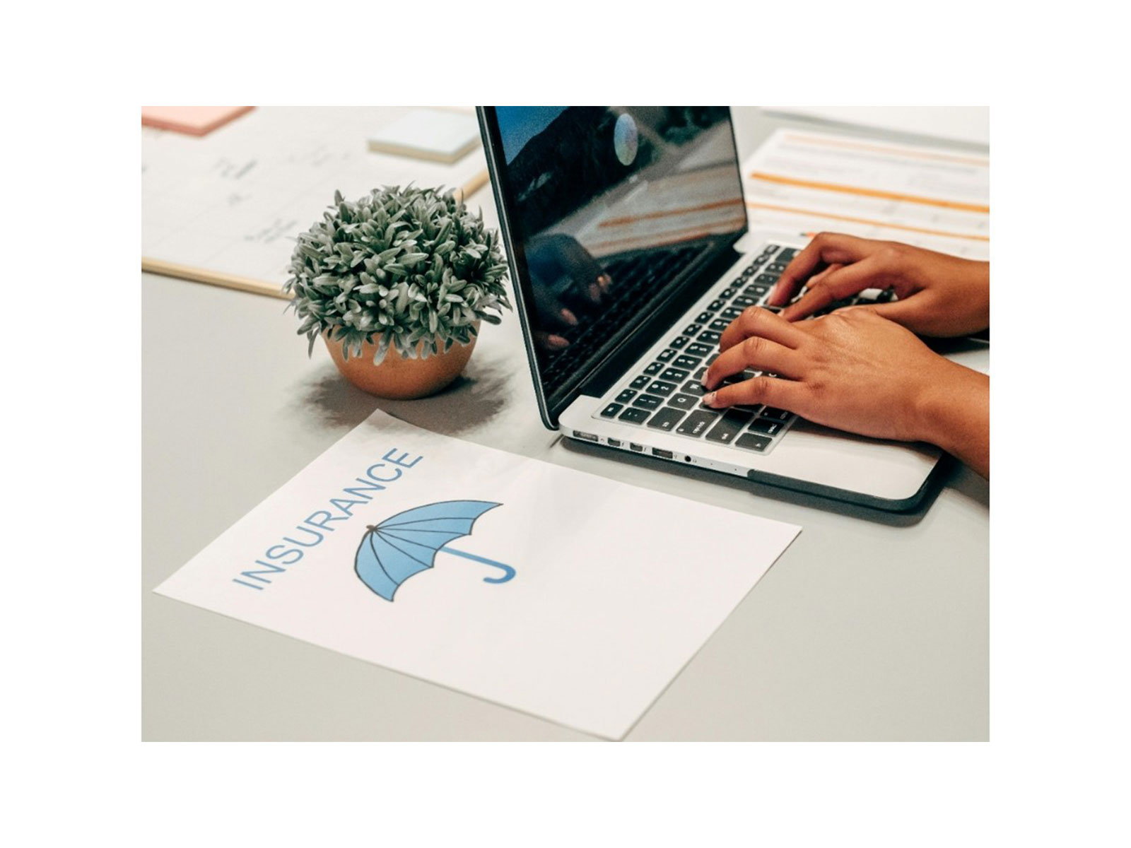 Term Insurance vs. Investment: Why Both Matter When Building Wealth