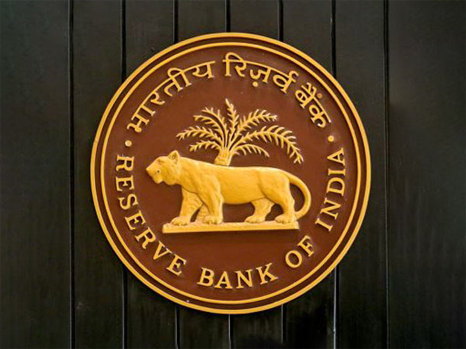 Reserve Bank of India logo (File Photo/ANI) Reserve Bank of India logo (File Photo/ANI)