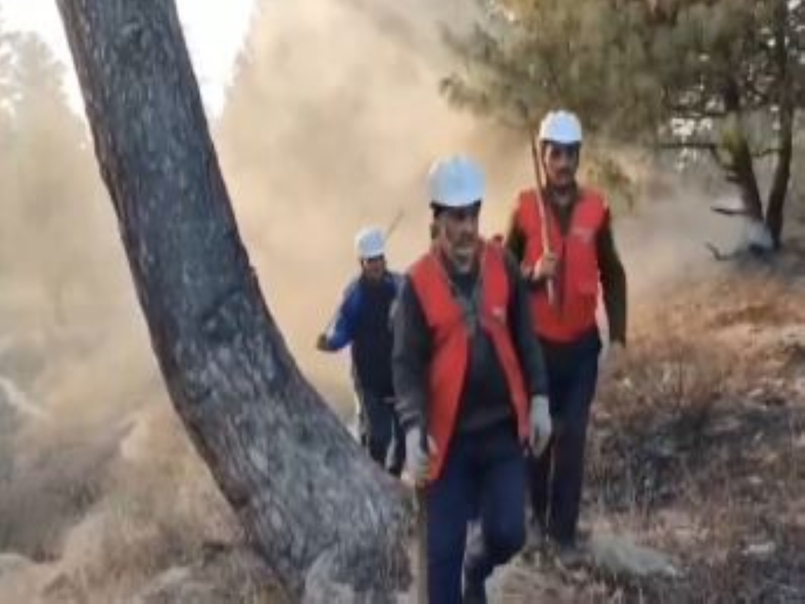 Visuals from Bandipore forest fire site (Photo/ANI)