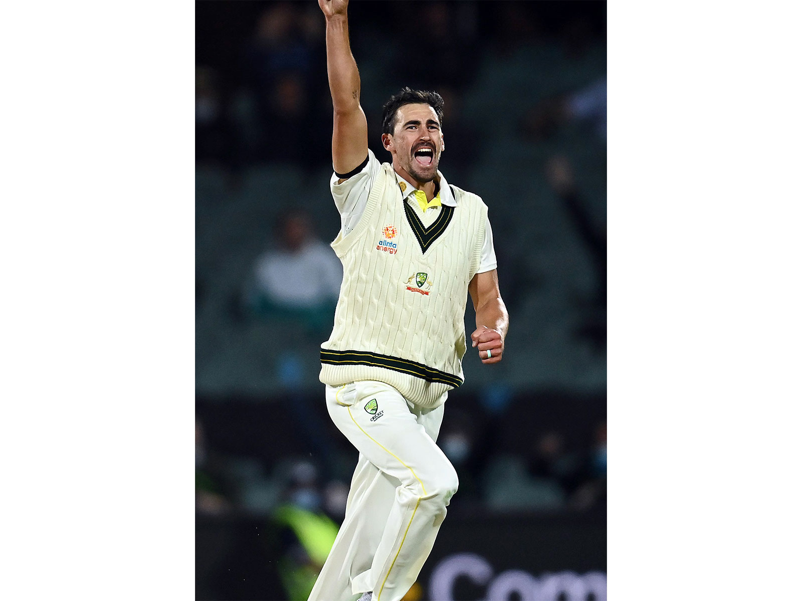 Mitchell Starc. (Photo: ANI) 