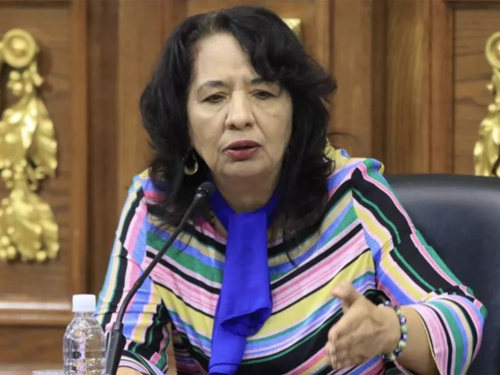 Venezuelan National Assembly deputy Ilenia Medina (Photo: Venezuelan National Assembly) 