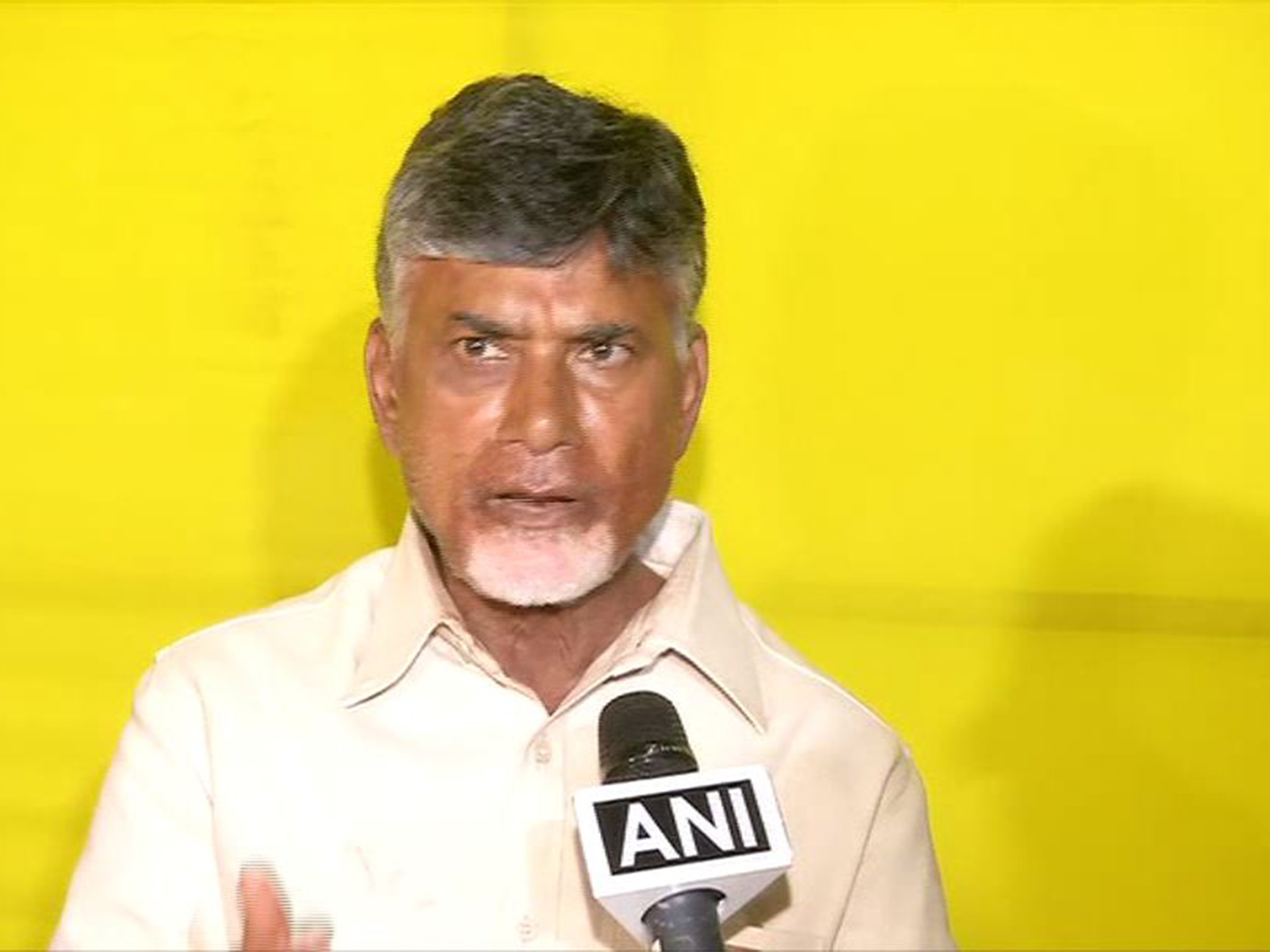 Andhra Pradesh Chief Minister Chandrababu Naidu (Photo/ANI)