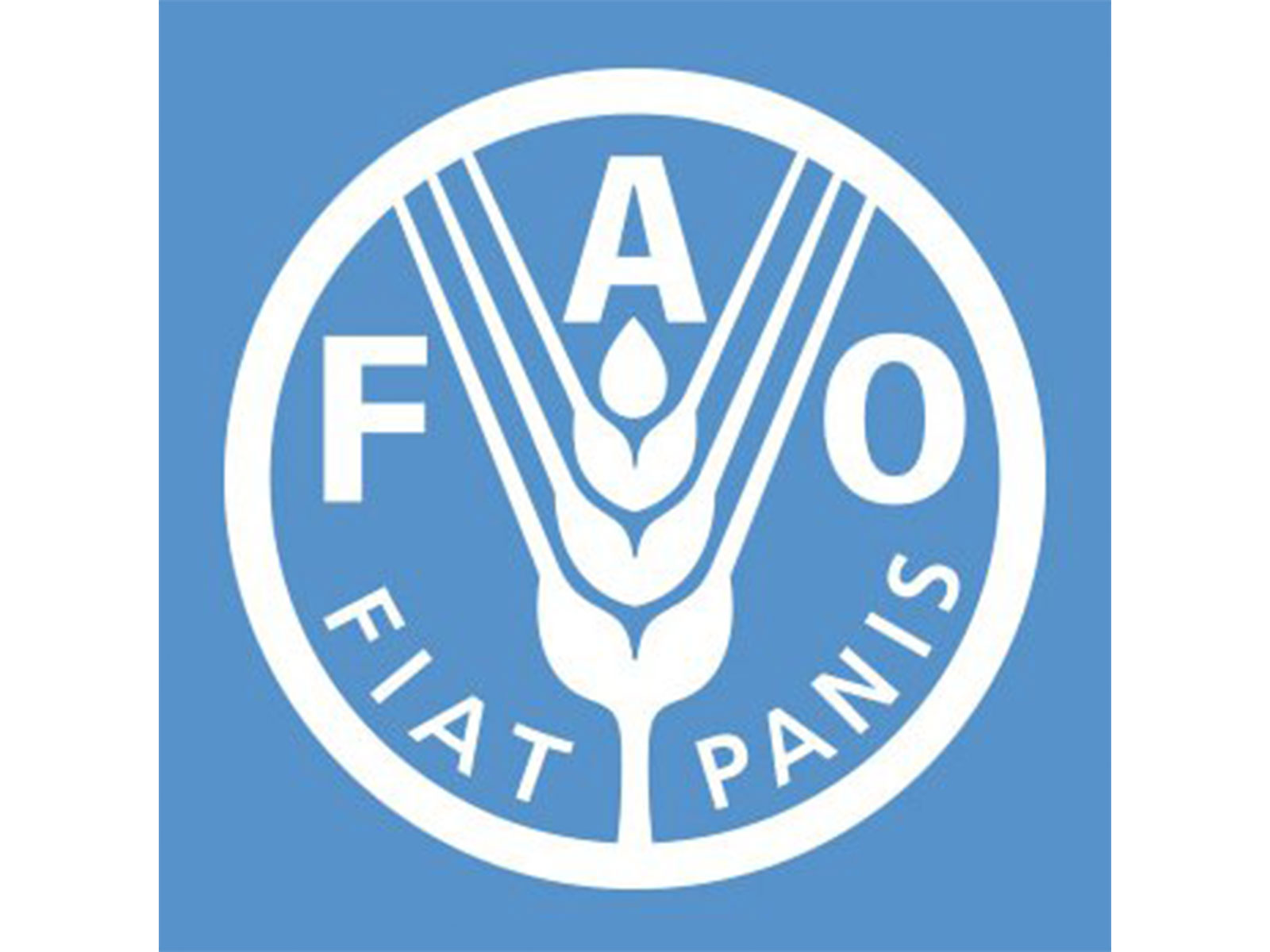 Representative Image (Photo/ X@FAO)