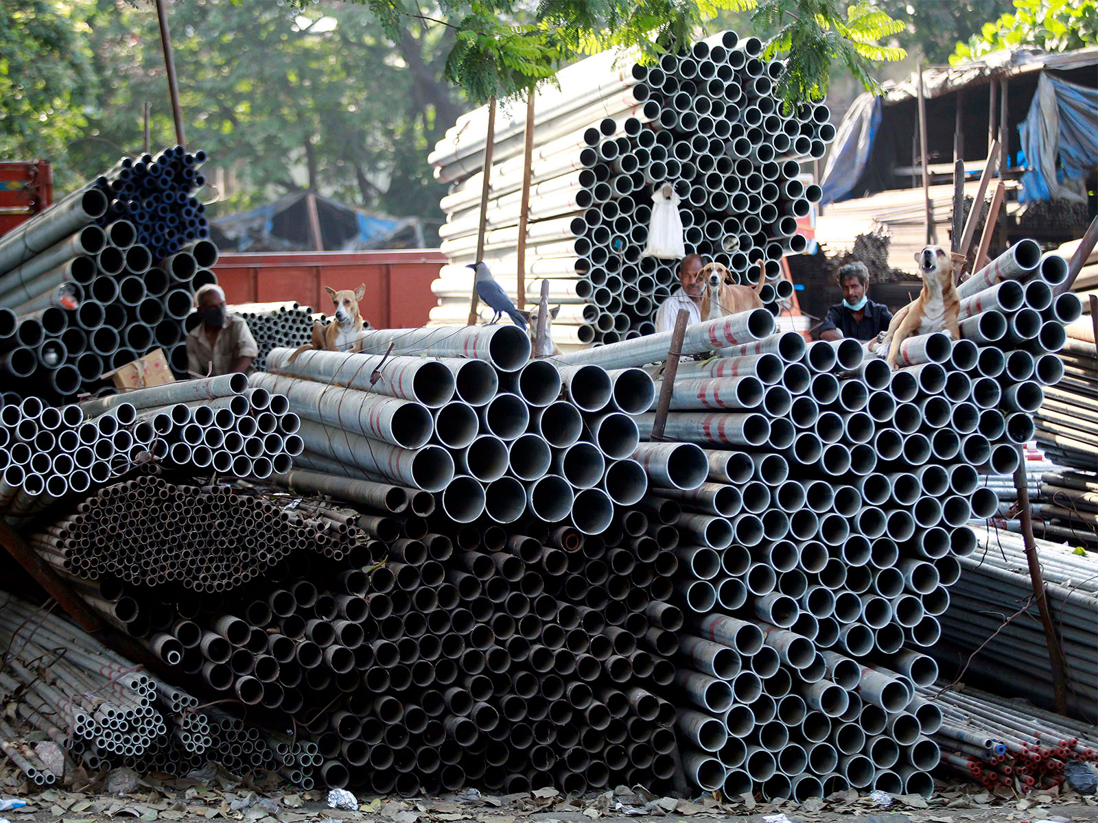 Representative Image (File Photo/ANI) Representative Image (File Photo/ANI)