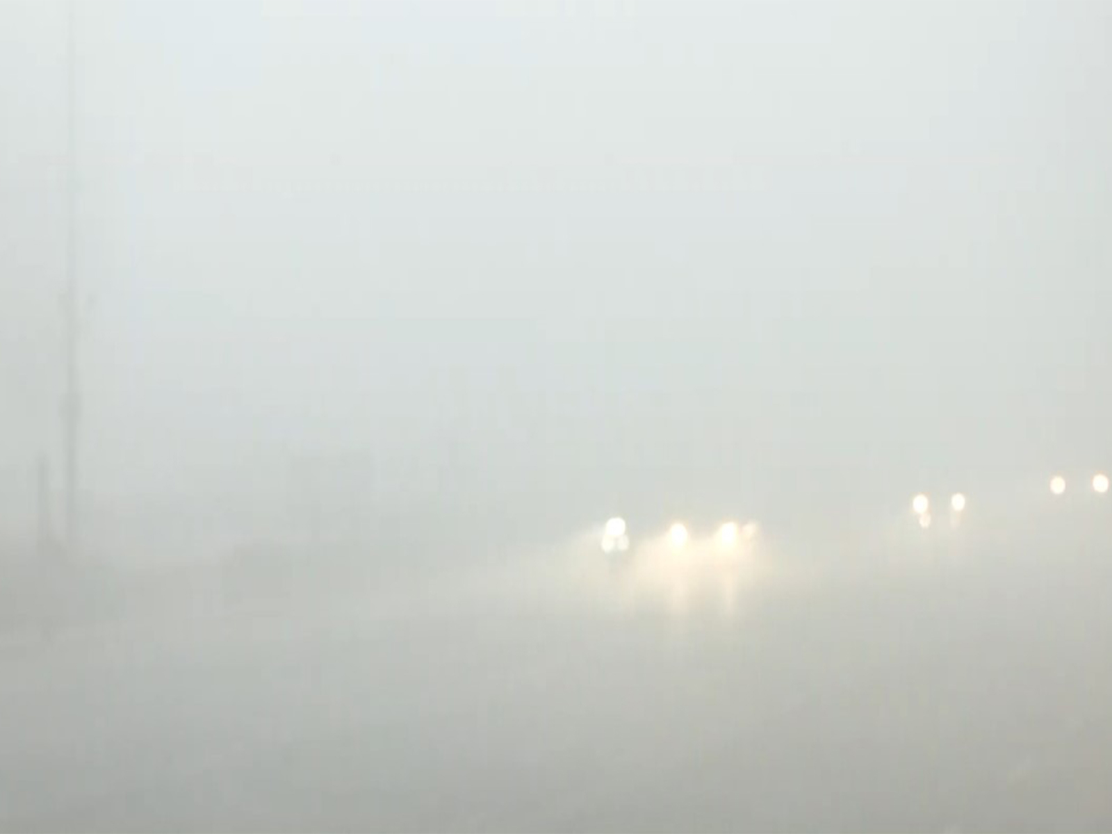 Asian News International (ANI) - Politics - News Image