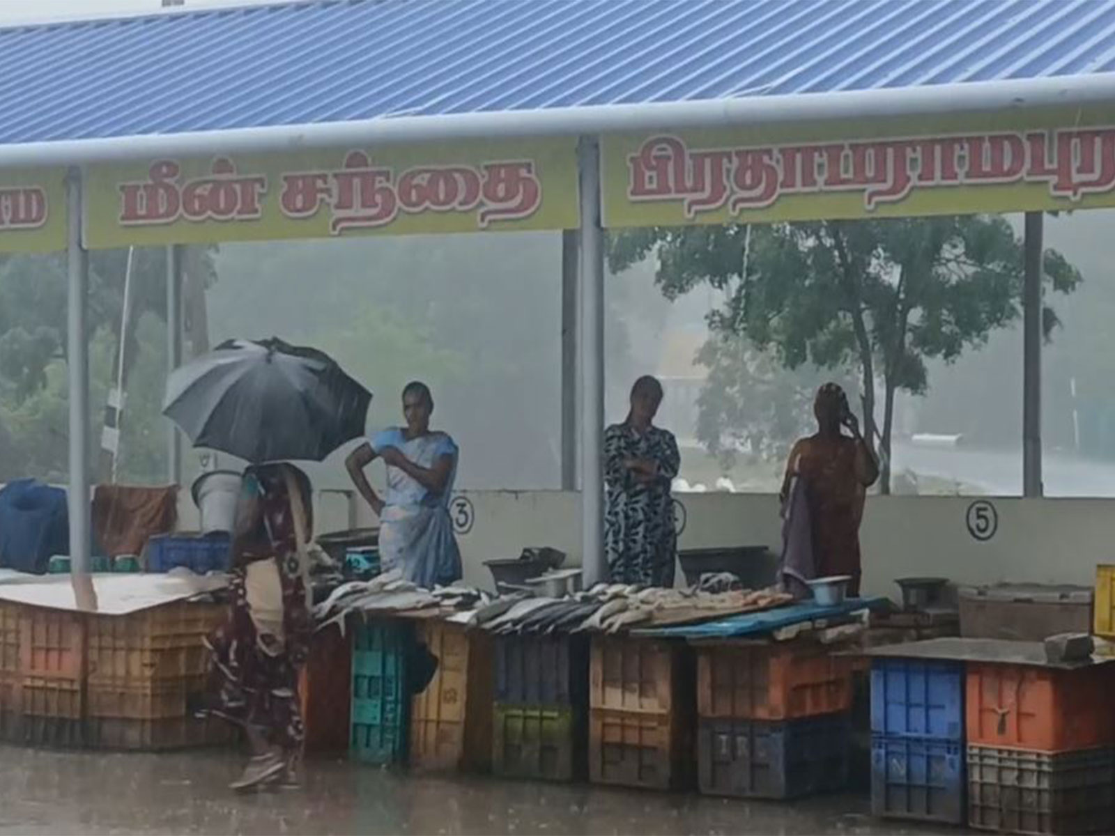 Asian News International (ANI) - Entertainment - News Image