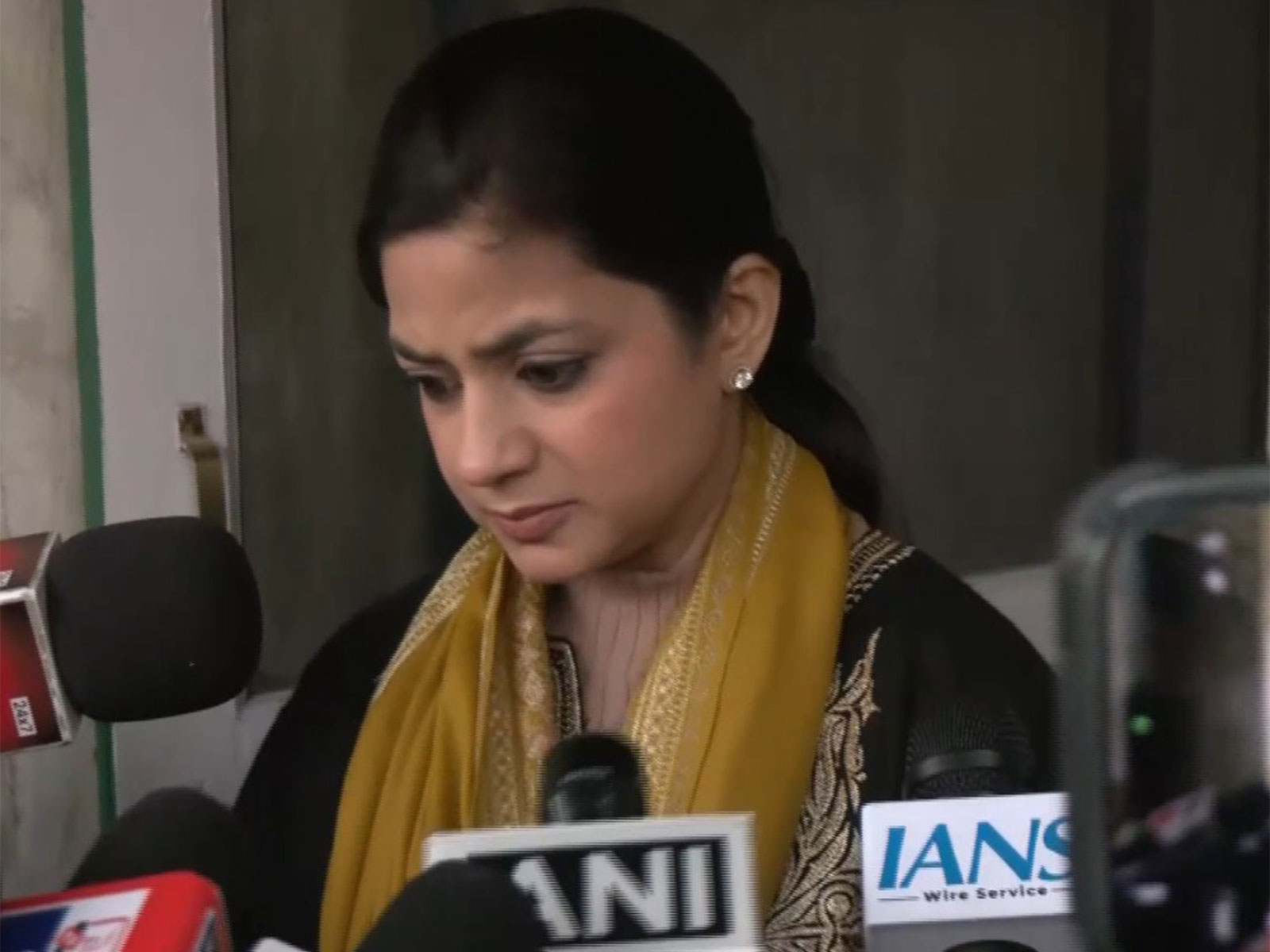 Iltija Mufti (Photo/ ANI)