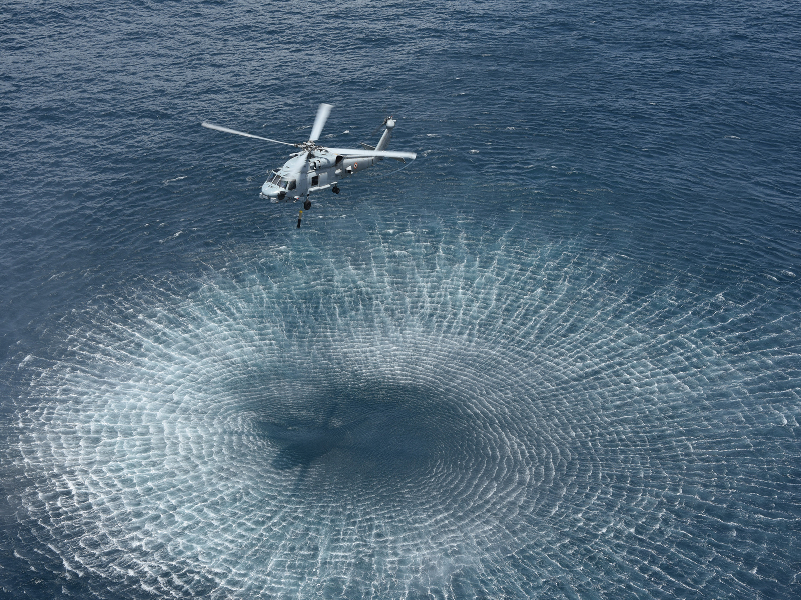 Asian News International (ANI) - Other - News Image