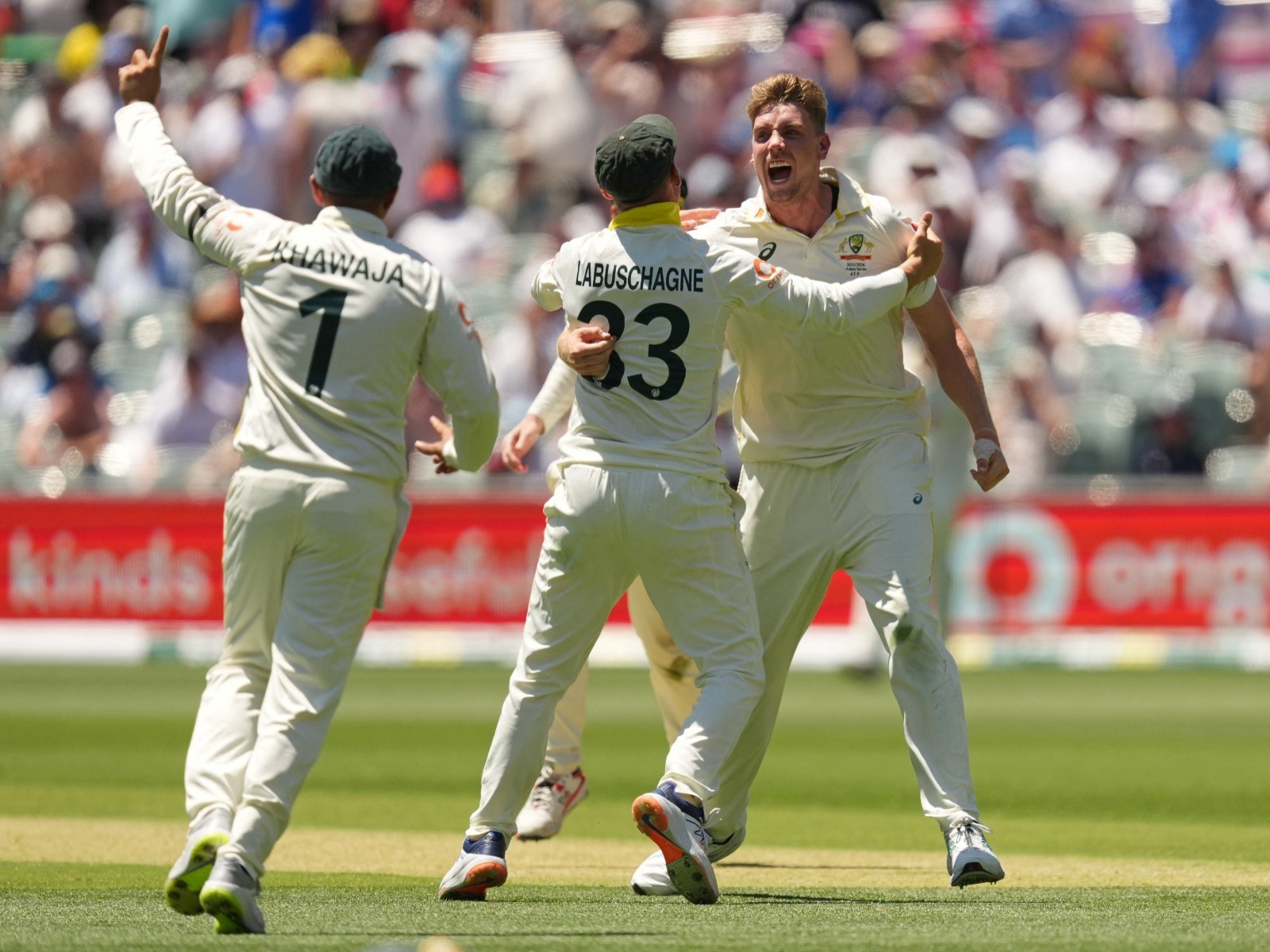 Cameron Green celebrating Brook's wicket (Photo/Reuters)