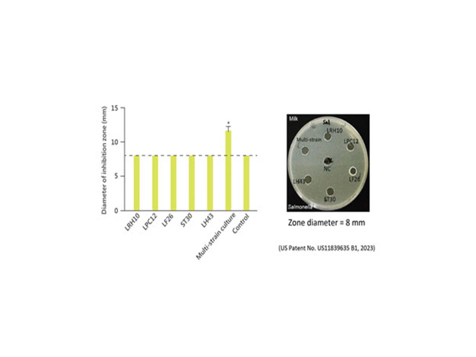 SynbioTech Wins 5 Gold Medals at US Innovation Awards